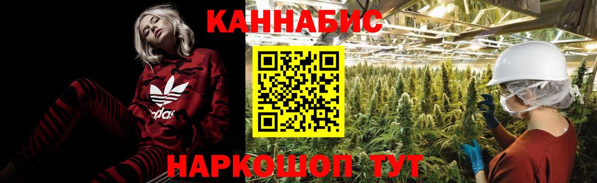 Шишки марихуана план  Вход с VPN  Орск  Конопля VHQ  МАРИХУАНА AK-47 